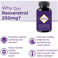 Anti Aging Private label 250mg 98% Active trans Resveratrol Capsule/ Tablet / Gummies